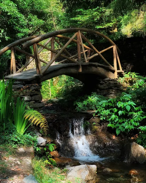 A wooden arched bridge over a small waterfall in the forest at Jibhi