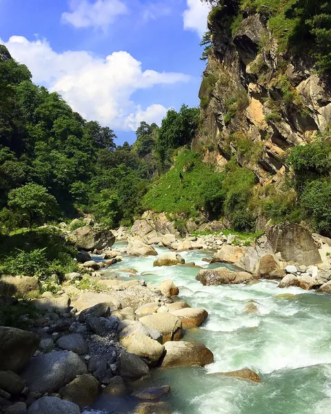 The Tirthan river running through a green gorge